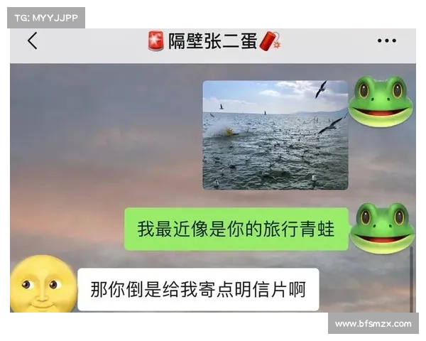 玩转青蛙明信片:邮戳收集者的终极攻略 玩转青蛙明信片:邮戳收集者的终极攻略